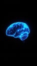 Digital Brain Illustration Visualizing Neural Networks and Artificial Intelligence Concepts