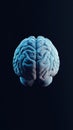Digital Brain Visualization Exploring Human Intelligence and Technology Integration