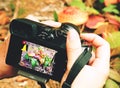 Digital camera in hands on blur leaf background taking photo