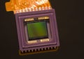 Digital Camera Sensor