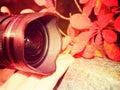Digital camera with touchtable display on autumn leaves Royalty Free Stock Photo