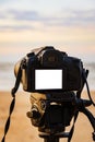 Digital camera on the tripod white screen Royalty Free Stock Photo