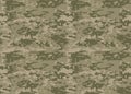 Digital camouflage pattern. Woodland camo texture. Camouflage p