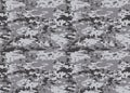 Digital Camouflage Pattern. Woodland Camo Texture. Camouflage P