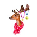 Digital christmas spotted deer portrait isolated on background. Merry Christmas symbol, Santa`s helper. Wild animal in red winter