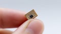Digital Component: Hand with Microchip, Isolated White Royalty Free Stock Photo