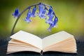 Digital composite of Bluebell Spring flower against green bokeh background in pages of open book Royalty Free Stock Photo
