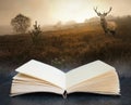 Digital composite concept image of open book wth Foggy misty Autumn forest landscape at dawn with red deer stag Royalty Free Stock Photo