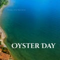 Digital composite of enjoy this national oyster day text and aerial view of seascape, copy space