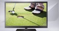 golf player on television