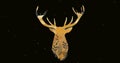 Digital composite image of abstract reindeer hunting trophy antler on black background Royalty Free Stock Photo