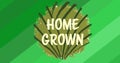 Digital composite image of home grown on cabbage leaf symbol text on abstract background