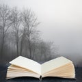 Digital composite image of Moody dramatic foggy forest landscape Spring Autumn Fall Royalty Free Stock Photo