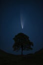 Digital composite image of Neowise Comet over lone tree landscpae