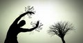 Person reaching with surreal tree branches silhouette