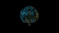 Digital computer brain with blue circuitry texture
