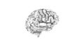 Digital computer brain with circuit texture in black and white Royalty Free Stock Photo