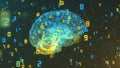 Brain and numbers - Big Data and statistics - right view Royalty Free Stock Photo