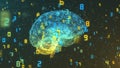 Brain and numbers - Big Data and statistics - right view