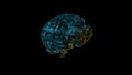 Digital computer brain with glowing blue circuitry texture