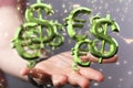 Digital concept of the dollar versus euro network, euro and dollar signs floating on the hand Royalty Free Stock Photo