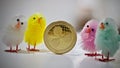 Easter ripple coin