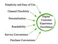 Digital Customer Experience Excellence