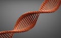 Digital 3d model of DNA structure,3d Rendering for background Royalty Free Stock Photo