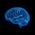 A digital 3D rendering of a human brain with a wireframe design Royalty Free Stock Photo