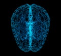 Digital data and network connection of human brain isolated on black background in the form of artificial intelligence for