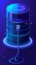 Digital Data Storage Server Isometric Icon Royalty Free Stock Photo