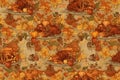The digital design pattern of festive Thankgiving dinner Royalty Free Stock Photo