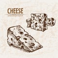 Digital detailed line art cheese slices