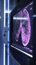 Digital display of human lungs medical imaging