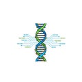 Digital DNA helix with binary code and circuit board elements Royalty Free Stock Photo