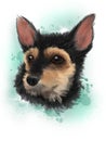 Digital drawing art of a dog pincher