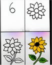 This is a digital drawing featuring a step-by-step tutorial on how to draw a sunflower. The image is divided into four quadrants. Royalty Free Stock Photo