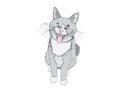 Digital drawing vector illustration of isolated gray cat which is sitting and yawning