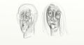 Digital drawing in wide screen format, figurative, minimalist, delicate and fast, human faces interacting side by side.