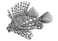 Digital drawing zentangle lion fish for coloring book,tattoo,shirt design Royalty Free Stock Photo