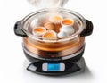 A digital egg cooker steaming multiple eggs at once Royalty Free Stock Photo