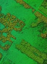 Digital elevation model of a forest area