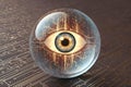 Digital Eye Surveillance Sphere On Circuit Board Royalty Free Stock Photo