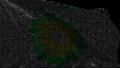 Digital flag with BP logo on the screen. Editorial 3d rendering