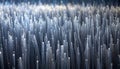 Digital Forest of Glowing Fiber Optic Strands Royalty Free Stock Photo
