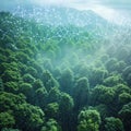 Digital forest landscape with interconnected network and lush greenery, copy space for text