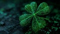 Digital Four-Leaf Clover on Circuit Board with Glowing Network Nodes Royalty Free Stock Photo