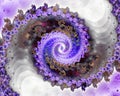 Purple Spiral Printed on Cardboard Royalty Free Stock Photo