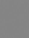 Digital Grey Smooth Background with Vertical Elongated Lines