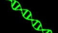 Digital Holographic Green DNA. Genetic engineering scientific concept. Black background Royalty Free Stock Photo